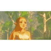 The Legend Of Zelda: Breath Of The Wild - NINTENDO SWITCH
